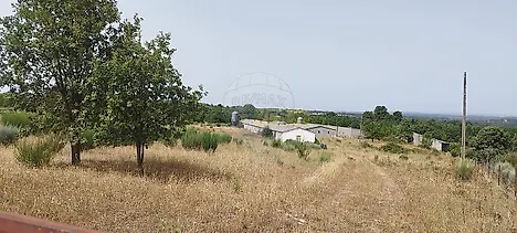 image-kIuUUx5AXp-0