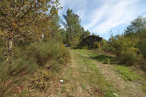 image-3c81vVEb5d1-0