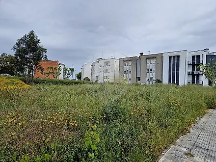 image-9cMJOFdyqN8-0