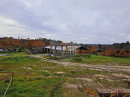 image-KelzZmIdwy0-0