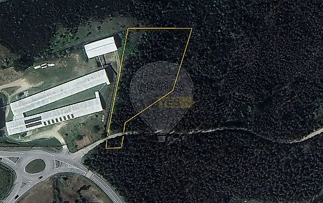 image-52m2EBK3NcS-0