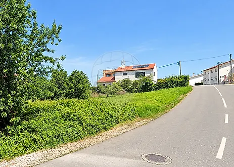 image-6tL6b3HLg2N-0