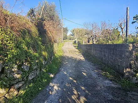 image-3K9z6XmqJx8-0