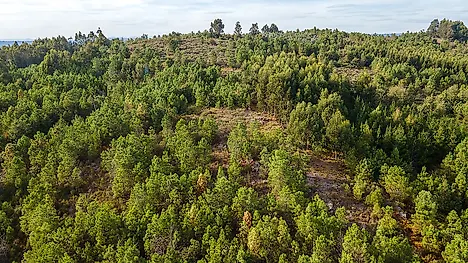 image-5YrygmrDElj-0