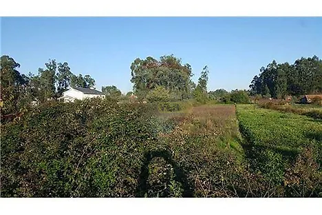 image-INhKaRPRpus-0