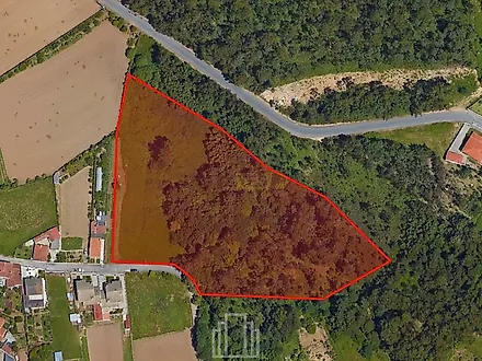 listing-7XwDUAOIN21