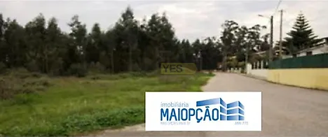image-42BZPm8UmCk-0