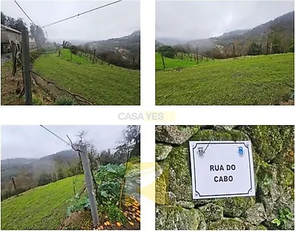 listing-4fWaWOnmVvU