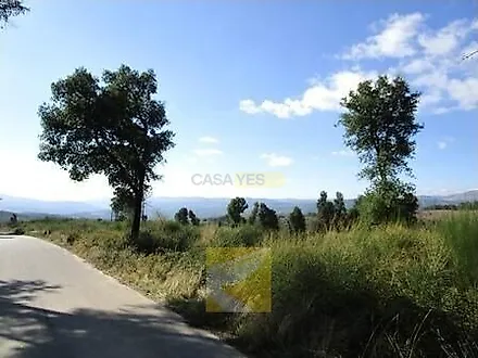 image-7NU8VDisryA-0