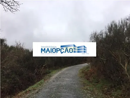 image-CJU7j6Du5Dx-0