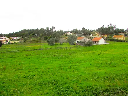 image-4NzDNxeXE2I-0