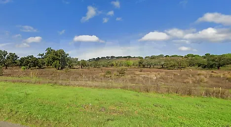image-8S2cMTAMLTv-0