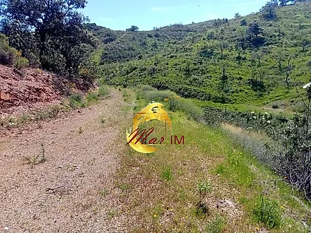 image-IkQM8YEUBK9-0