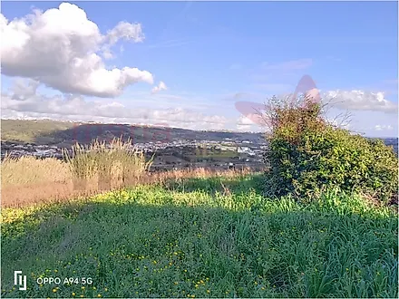 Land for sale in Bombarral, Portugal — €63,000