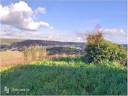 Land for sale in Bombarral, Portugal — €106,000