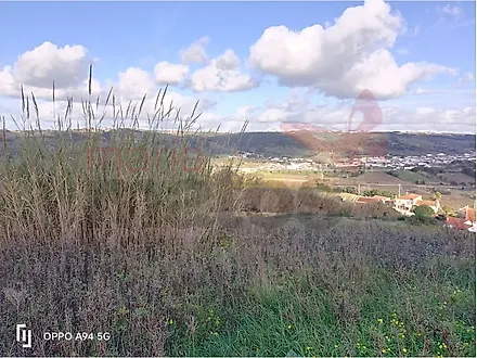 Land for sale in Bombarral, Portugal — €70,200