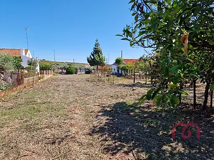image-BFoju2N4X3u-0