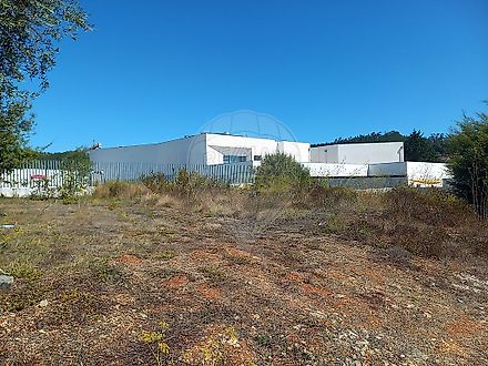 image-3LyIbNR6b10-0