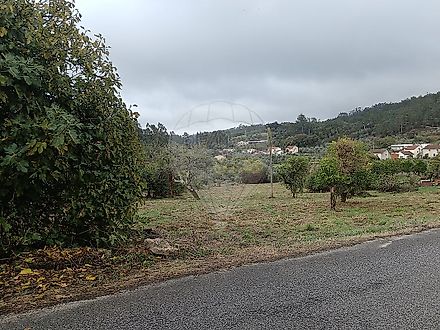 image-Ck4Jlp5DlSR-0