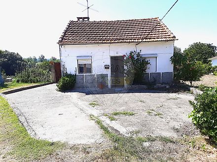 image-G4a9GfD2Xum-0