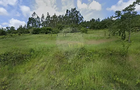 image-Jx31zpjnfsU-0