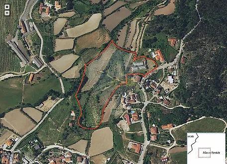 image-141PoPsj3JO-0