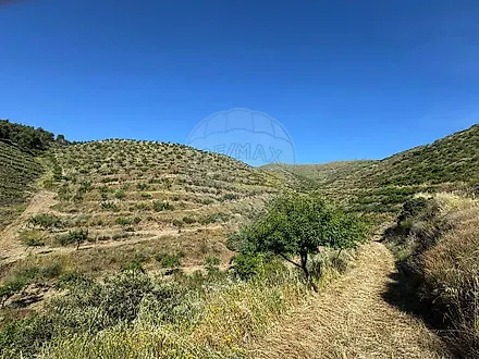 Terreno em Mêda