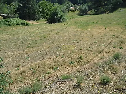 image-9wuIDPOjvZj-0