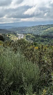 image-IIDaaRwrzAZ-0