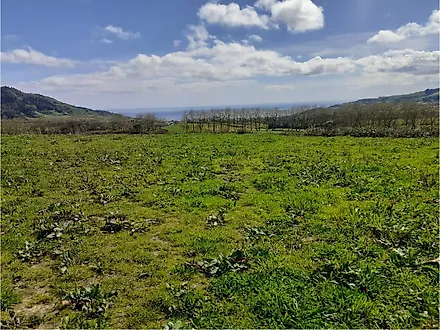 Terreno em Povoação
