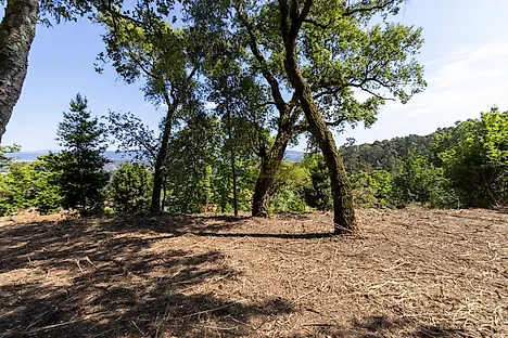 image-5CjKJDebQq5-0