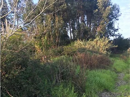 Land for sale in Aveiro, Portugal — €75,000