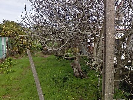 Land for sale in Ílhavo, Portugal — €83,690