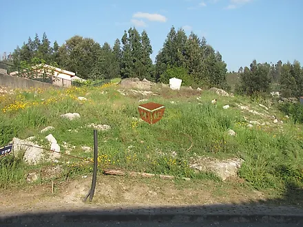 image-EBmx5PGPkiL-0