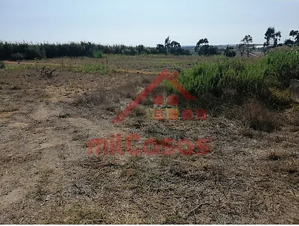 Land for sale in Torres Vedras, Portugal — €70,000