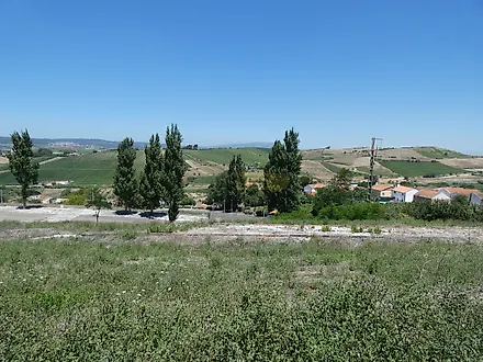 image-JHCS6lwvZHU-0