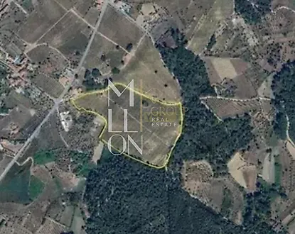 image-1uwo1R5yr2E-0