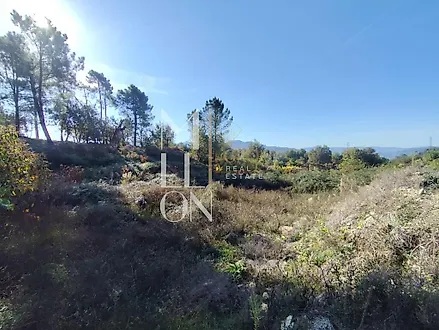 image-DxTVOC0kW5P-0