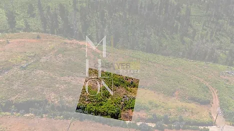 image-FDwLWPvxEgD-0