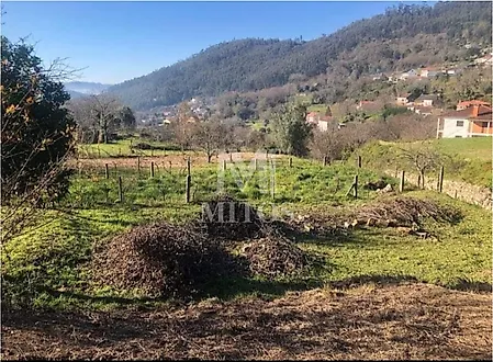 Terreno em Ponte de Lima