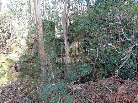 image-72n9iOsg6Je-0
