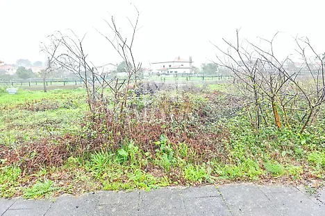 image-CvDLzMnZqjT-0