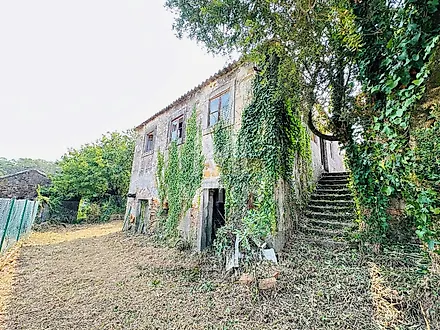image-JelimTIia2i-0