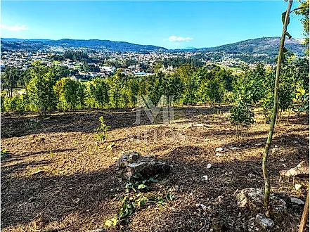 image-LAPeVKuVFPD-0