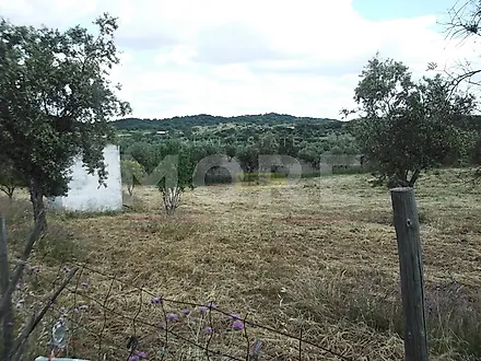 image-7hZcJG2F0su-0