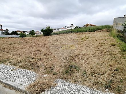 image-3ltOfl86rEo-0