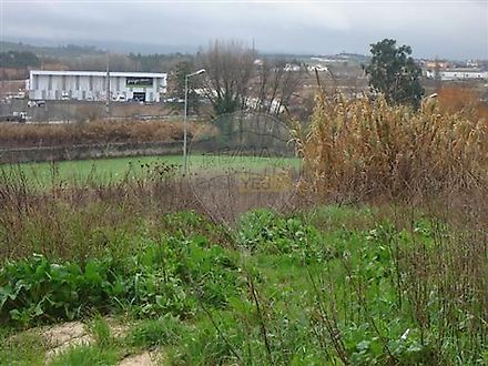 Land for sale in Alcobaça, Portugal — €210,000