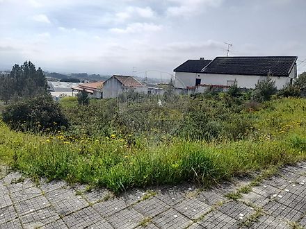 image-LMsZwyWdSha-0