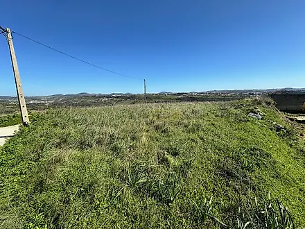 image-CFOBeK25M8c-0