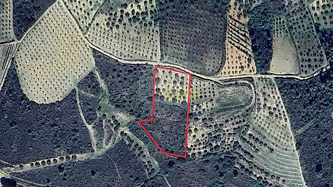 image-6Y3eBEjqGCC-0
